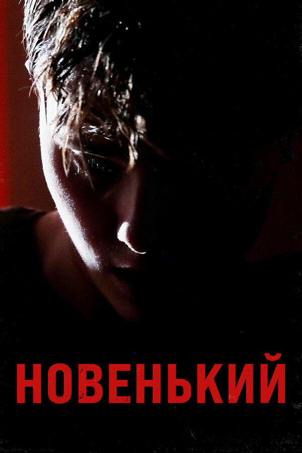 Постер фильма Новенький