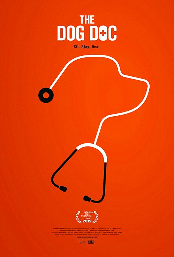 Постер фильма The Dog Doc