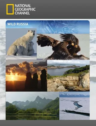Постер Дикая природа России (2008)