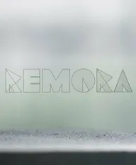 Remora