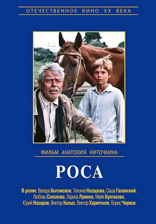 Постер фильма Роса