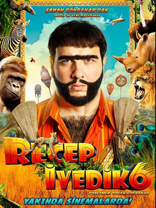 Постер фильма Реджеп Иведик 6