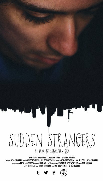 Постер фильма Sudden Strangers