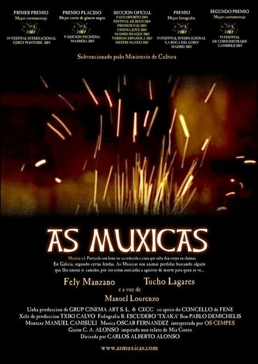 Постер фильма As muxicas