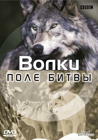 Постер сериала BBC: Поле битвы