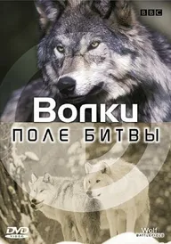 BBC: Поле битвы