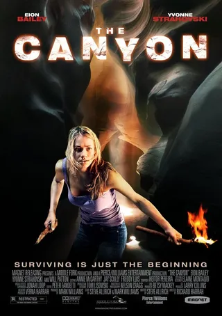 Постер Каньон (2009)