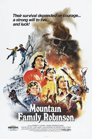 Постер Гора семьи Робинзон (1979)