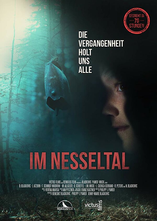 Постер фильма Im Nesseltal