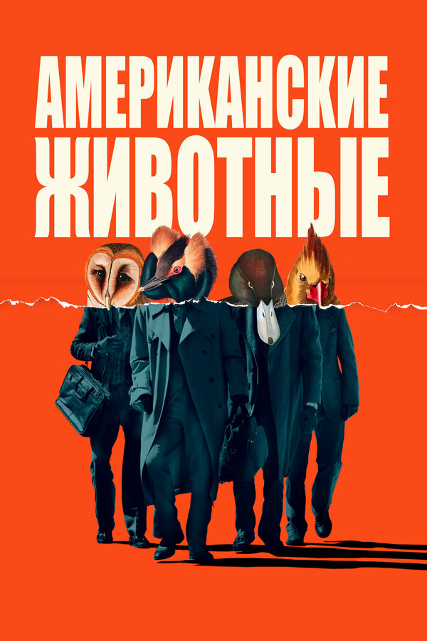 Постер фильма Американские животные