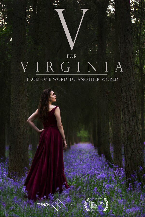 Постер фильма V for Virginia