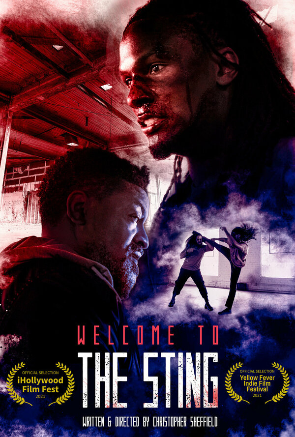 Постер фильма Welcome to the Sting