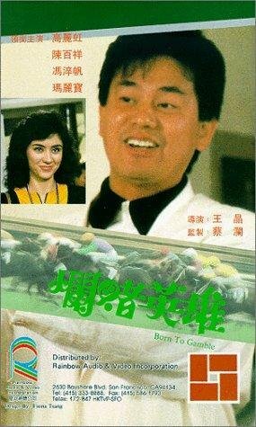 Постер фильма Lan du ying xiong