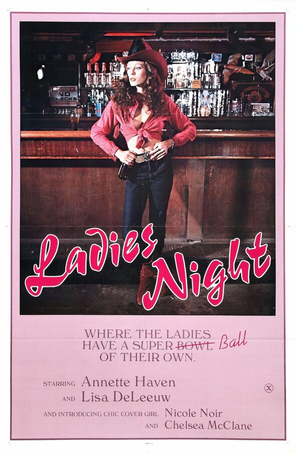 Постер фильма Ladies Night