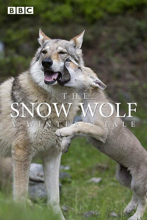 Постер фильма The Snow Wolf: A Winter's Tale