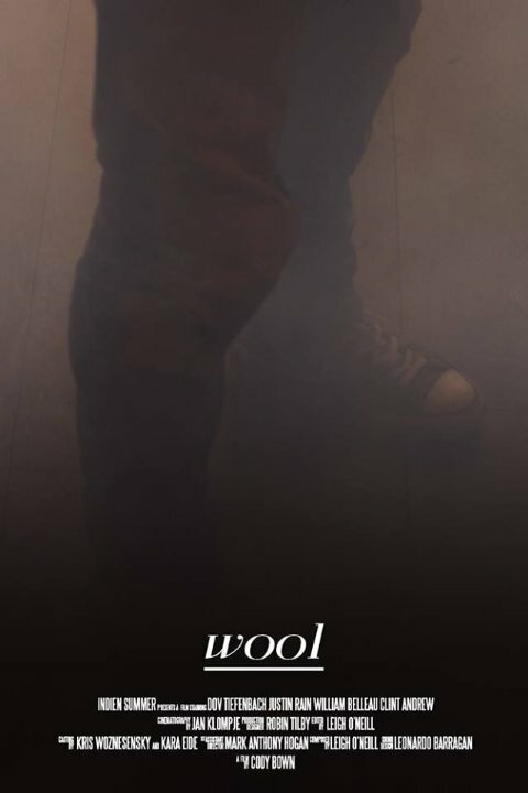 Постер фильма Wool