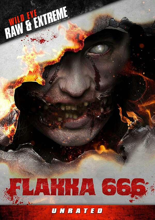 Постер фильма Флакка 666