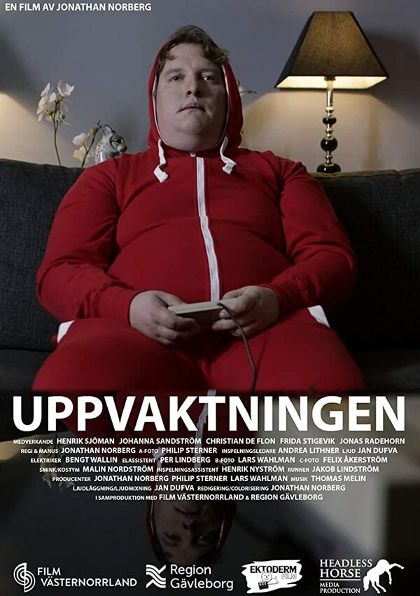 Постер фильма Uppvaktningen