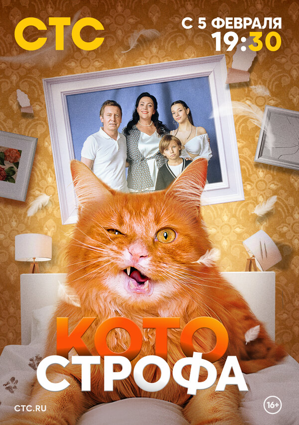 Постер сериала Котострофа