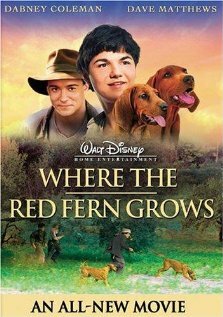 Постер Цветок красного папоротника (2003)