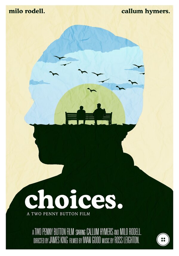Постер фильма Choices