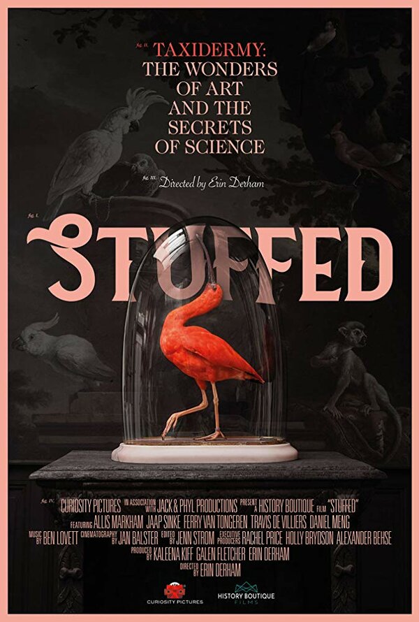 Постер фильма Stuffed