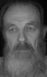 Сергей Студеникин