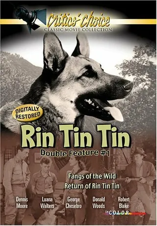 Постер The Return of Rin Tin Tin (1947)