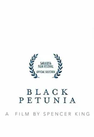 Black Petunia