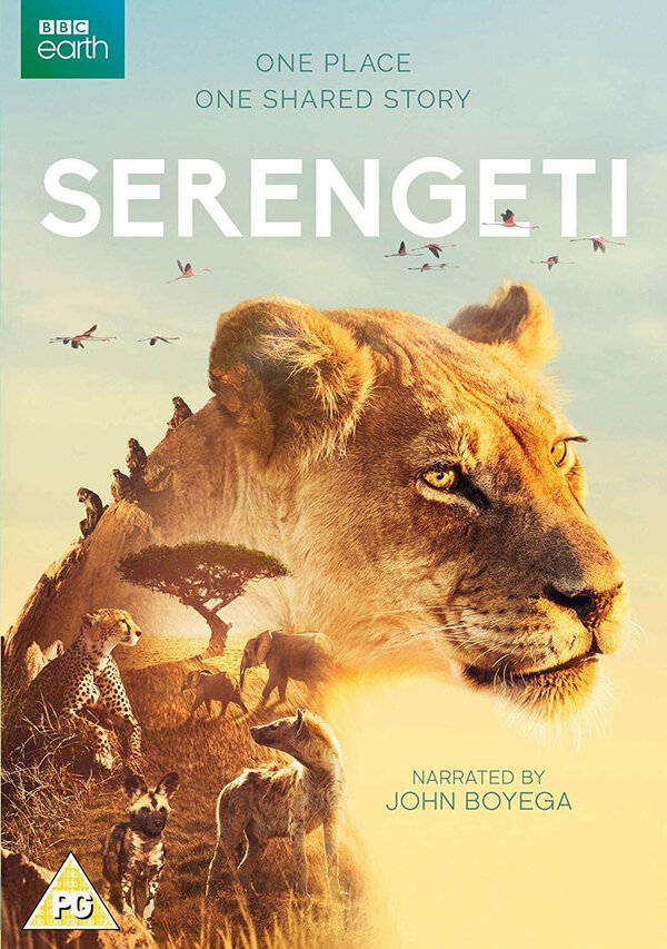 Постер сериала BBC: Серенгети