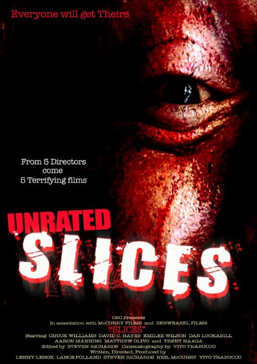 Постер фильма Slices