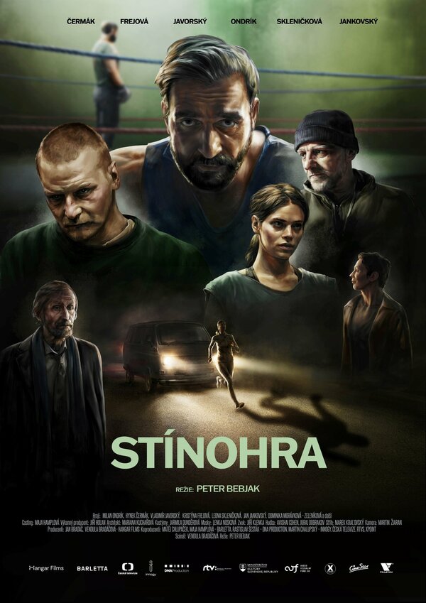 Постер фильма Игра теней
