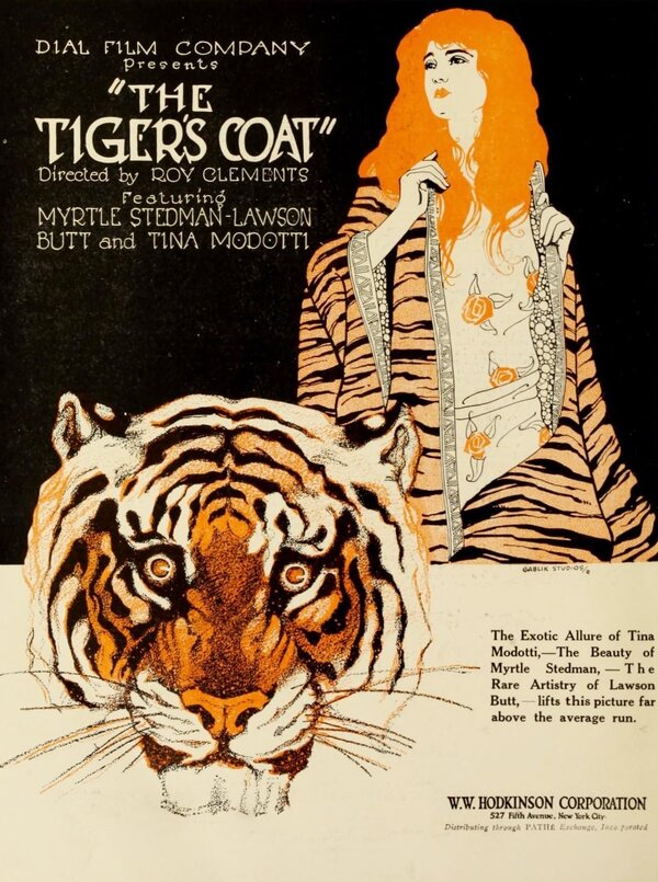 Постер фильма The Tiger's Coat