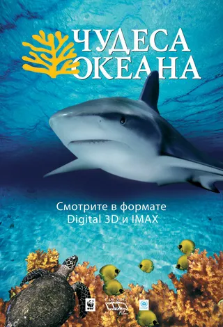 Постер Чудеса океана 3D (2003)