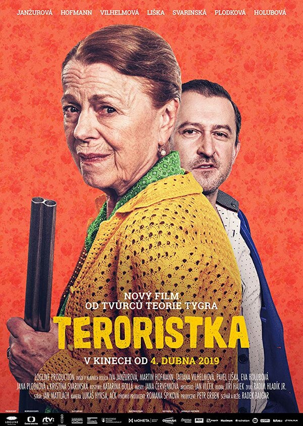 Постер фильма Террористка