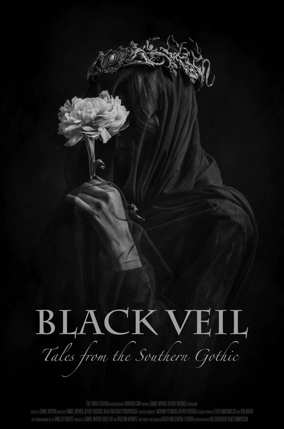 Постер фильма Black Veil