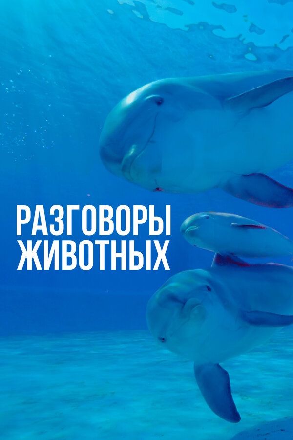 Постер сериала Разговоры животных