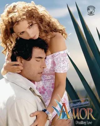 Постер Чистая любовь (2007)