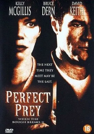 Постер Идеальная жертва (1998)