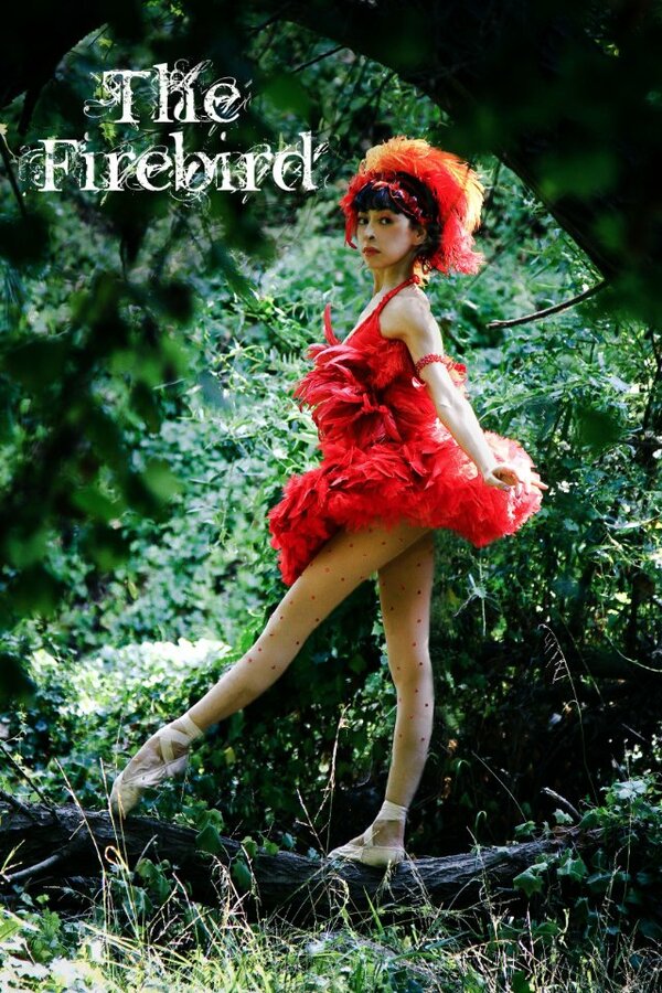 Постер фильма The Firebird