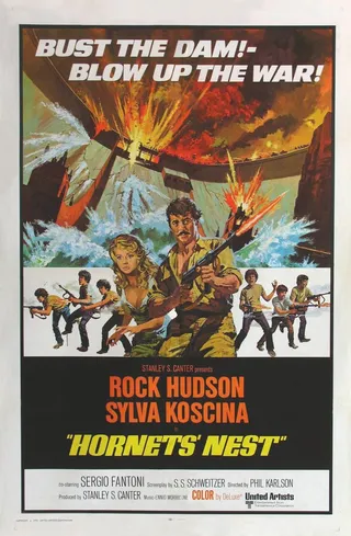 Постер Гнездо шершней (1970)