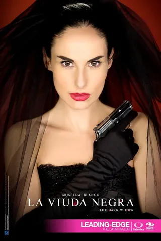 Постер Черная вдова (2014)