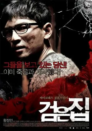 Постер Чёрный дом (2007)
