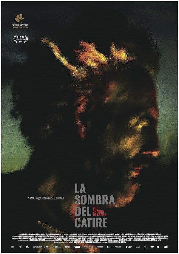 Постер фильма La sombra del Catire