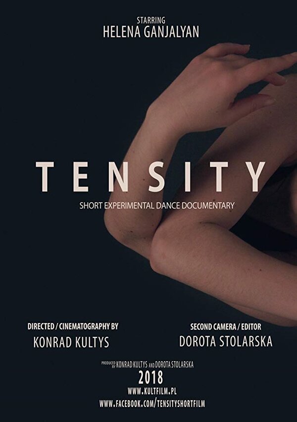 Постер фильма Tensity