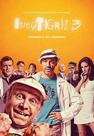 Постер Стеклянный тигр 3 (2010)