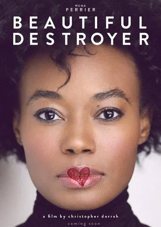 Постер Beautiful Destroyer (2015)