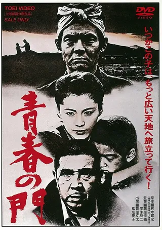 Постер Врата юности (1980)