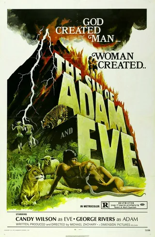 Постер Грех Адама и Евы (1969)