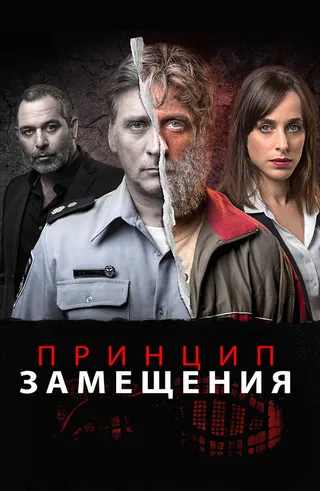 Постер Принцип замещения (2016)